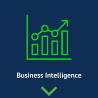 Business Intelligence